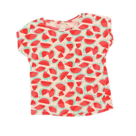 Du Pareil au Même Other - Du Pareil au Même Girls Watermelon Print Short Sleeve T-Shirt Size 5/110cm